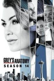 Grey’s Anatomy: Stagione 14