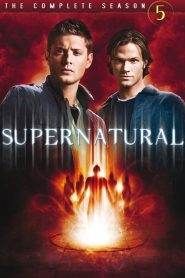 Supernatural: Stagione 5