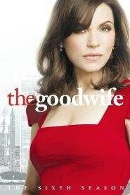 The Good Wife: Stagione 6