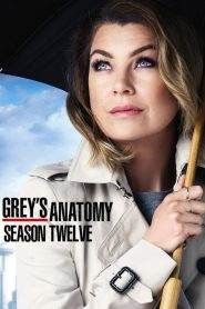 Grey’s Anatomy: Stagione 12