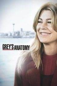 Grey’s Anatomy: Stagione 15