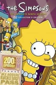 I Simpson: Stagione 9