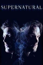 Supernatural: Stagione 14