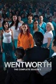 Wentworth: Stagione 3