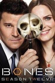 Bones: Stagione 12