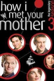 How I Met Your Mother: Stagione 3