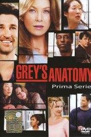 Grey’s Anatomy: Stagione 1