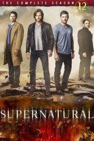 Supernatural: Stagione 12