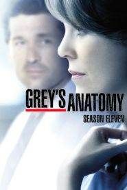 Grey’s Anatomy: Stagione 11