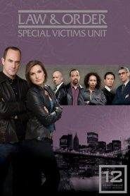 Law & Order – Unità vittime speciali: Stagione 12