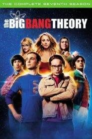 The Big Bang Theory: Stagione 7