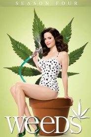 Weeds: Stagione 4