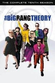 The Big Bang Theory: Stagione 10