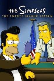 I Simpson: Stagione 22