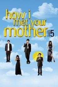How I Met Your Mother: Stagione 5