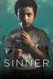 The Sinner: Stagione 2