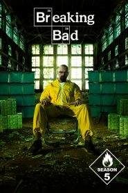 Breaking Bad – Reazioni collaterali: Stagione 5