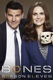 Bones: Stagione 11