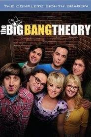 The Big Bang Theory: Stagione 8