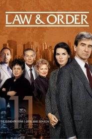 Law & Order: Stagione 11