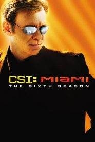 CSI: Miami: Stagione 6