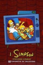 I Simpson: Stagione 5