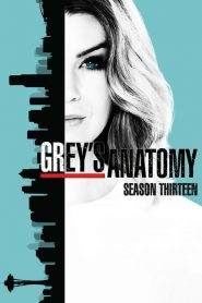 Grey’s Anatomy: Stagione 13