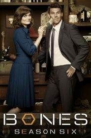 Bones: Stagione 6