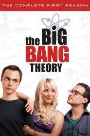 The Big Bang Theory: Stagione 1