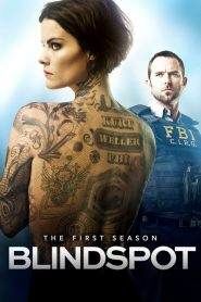 Blindspot: Stagione 1