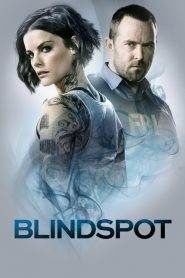 Blindspot: Stagione 4