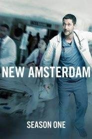 New Amsterdam: Stagione 1