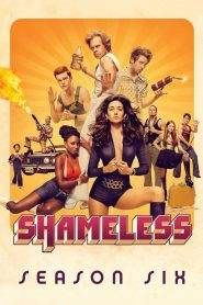 Shameless: Stagione 6