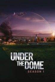 Under the Dome: Stagione 1