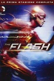 The Flash: Stagione 1