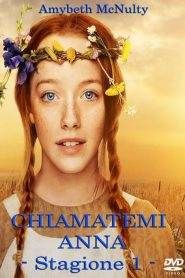 Chiamatemi Anna: Stagione 1