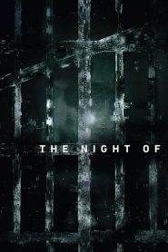 The Night Of: Stagione 1