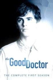 The Good Doctor: Stagione 1