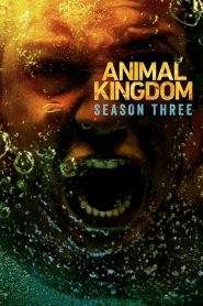 Animal Kingdom: Stagione 3