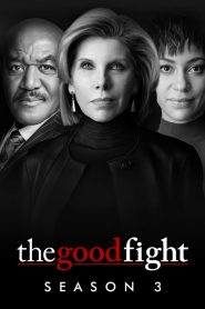 The Good Fight: Stagione 3