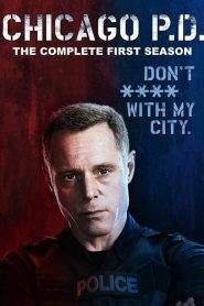 Chicago P.D.: Stagione 1