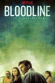 Bloodline: Stagione 3