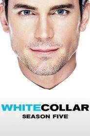 White Collar – Fascino criminale: Stagione 5