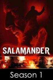 Salamander: Stagione 1