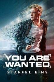 You Are Wanted: Stagione 1