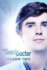 The Good Doctor: Stagione 2