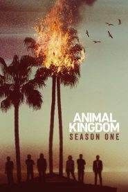 Animal Kingdom: Stagione 1