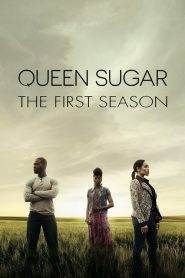 Queen Sugar: Stagione 1