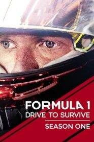 Formula 1: Drive to Survive: Stagione 1