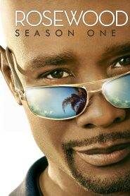 Rosewood: Stagione 1